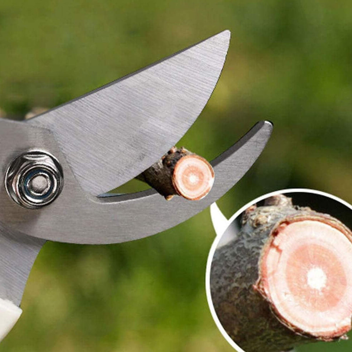 Stainless Steel Garden Scissors, flower cutter