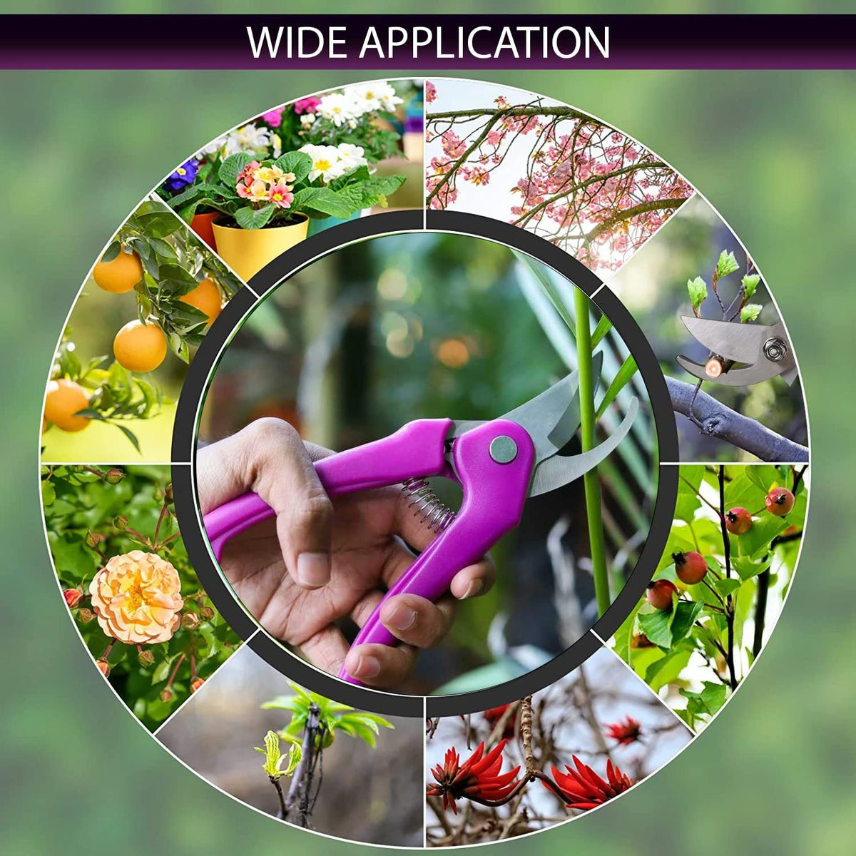 Stainless Steel Garden Scissors, flower cutter